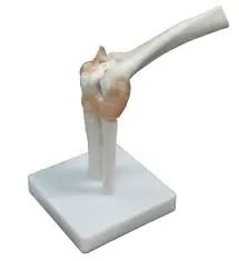 product-inner-ac