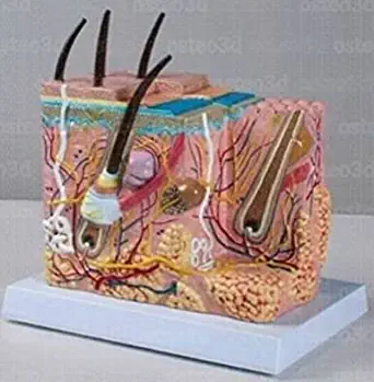 product-inner-ac