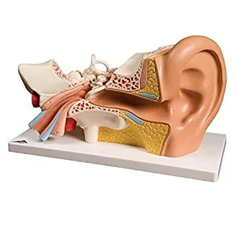 product-inner-ac