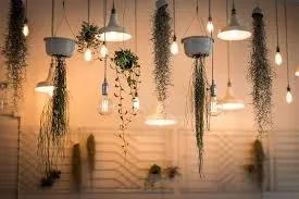LIGHTS