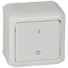 Double Pole Switches