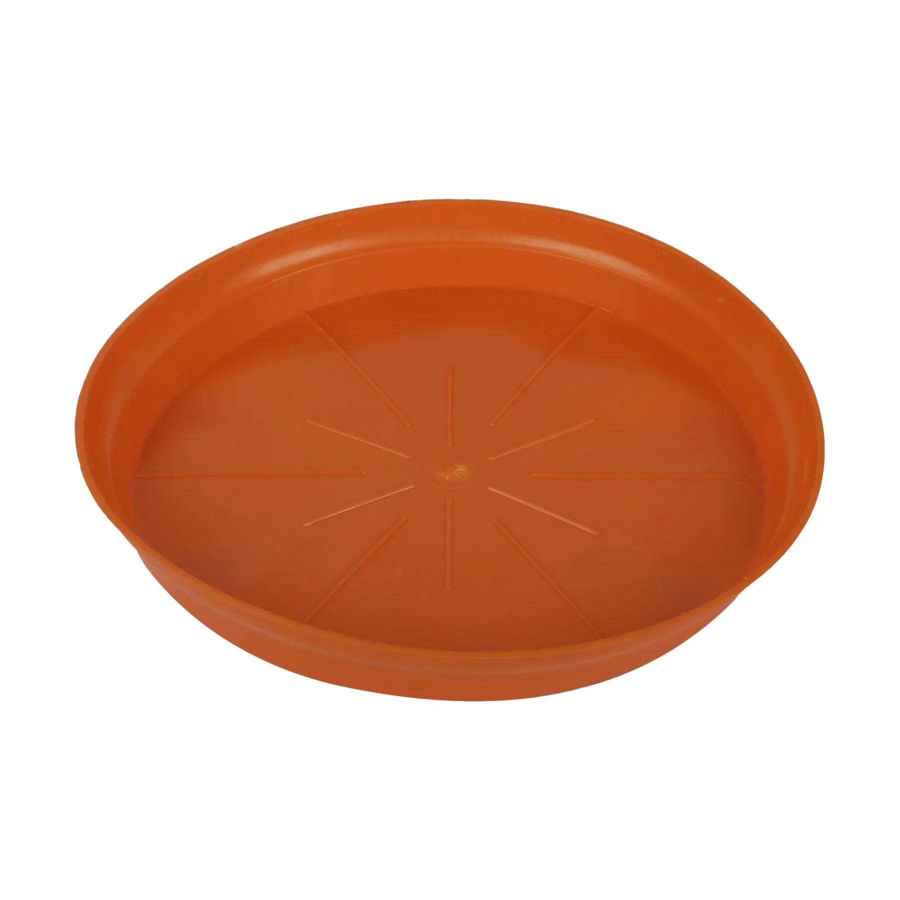 BOTTOM TRAY