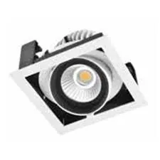 Zoom light