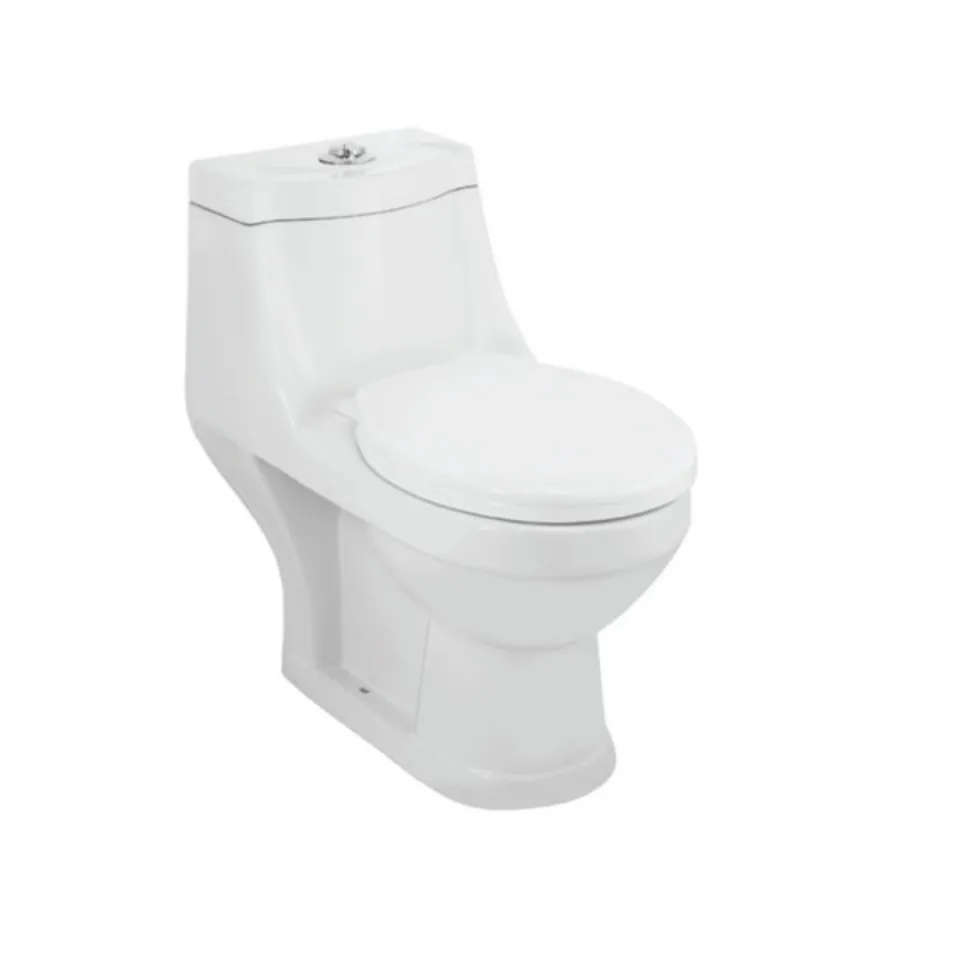 Single Piece WC