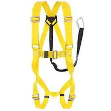 Safety  belt
