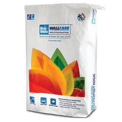 Powder wall putty